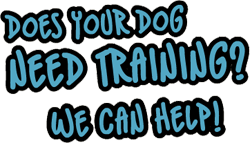 Does Your Dog Need Training? We Can Help!